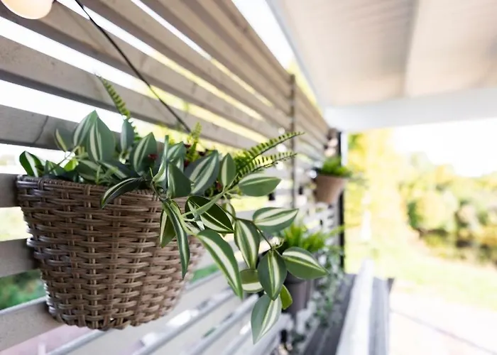 Mommo Ii * Rovaniemi